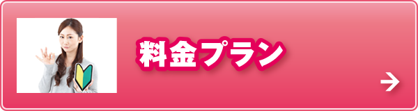 料金プラン 料金プラン